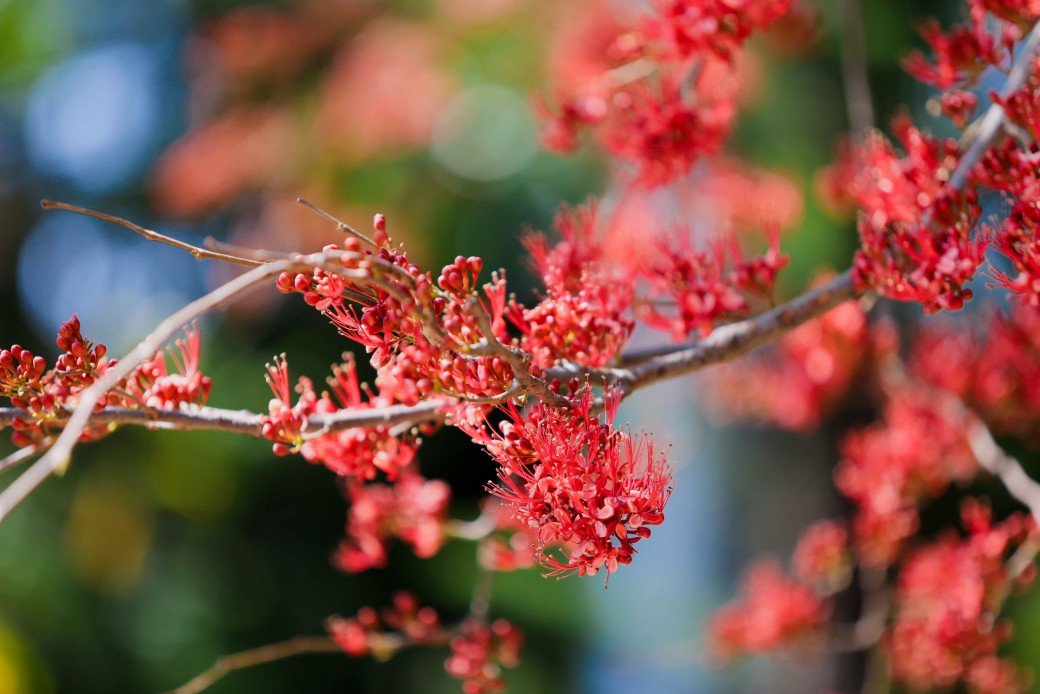 FILE-20260220-1401BTLSXVDSQZHF