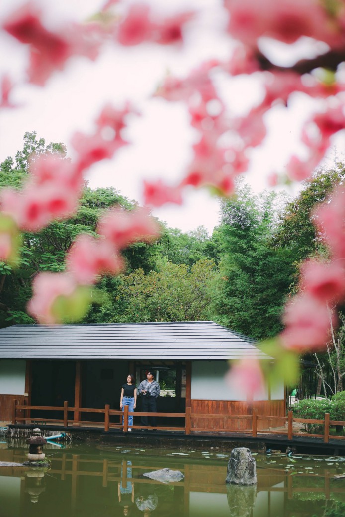 FILE-20260220-1401HVGTF1N4NE5M