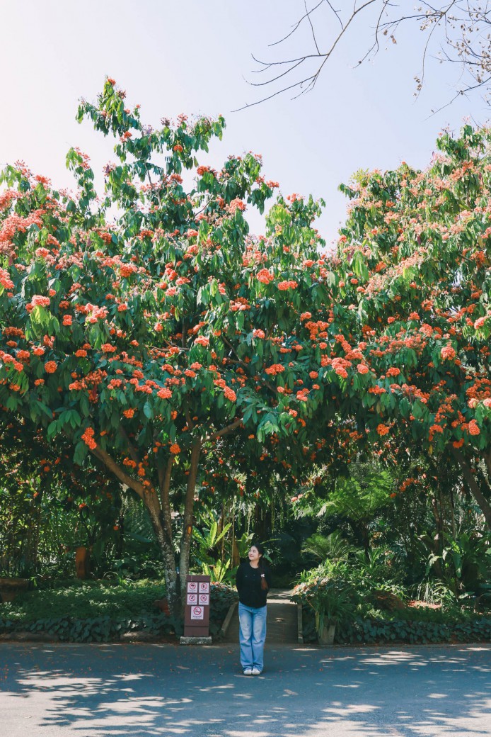 FILE-20260220-1401Z96UUJ1HKNWL