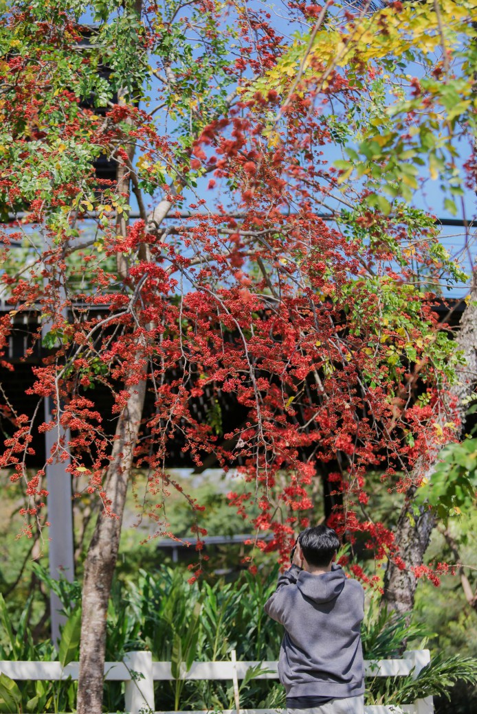 FILE-20260220-14059PV4JM8B66YR