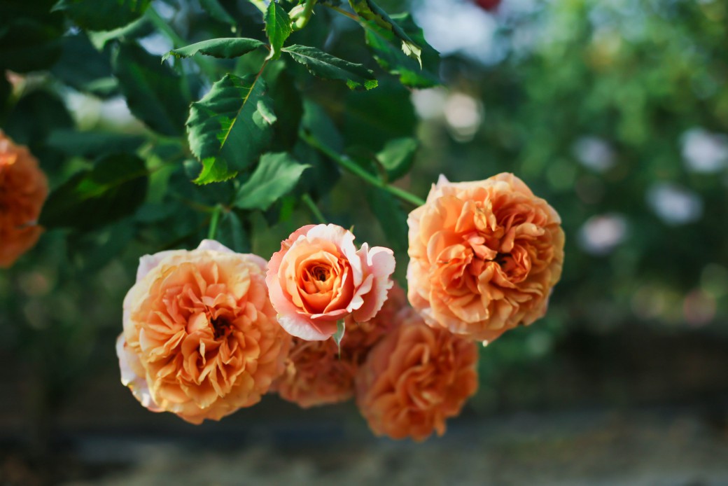 FILE-20260220-1405SUQVB2EG6LLU