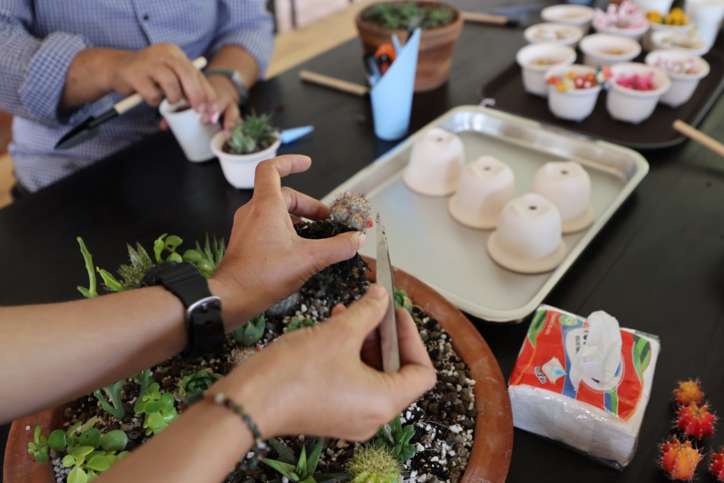 FILE-20260220-1408U2KDGUSBLW9T