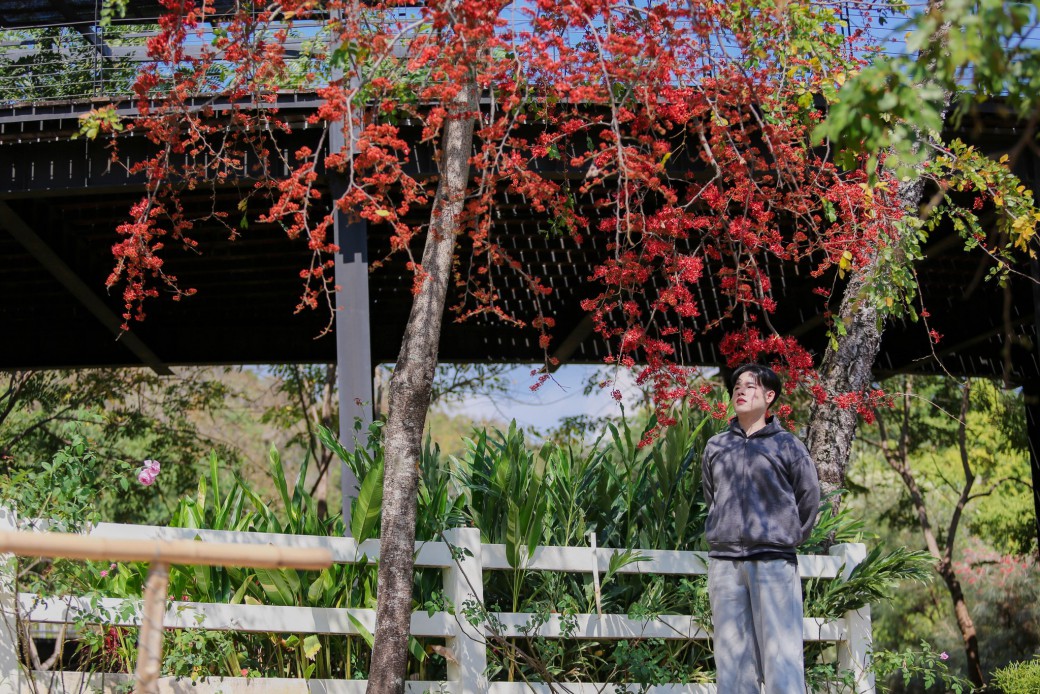 FILE-20260220-14119H3AT29F54QE