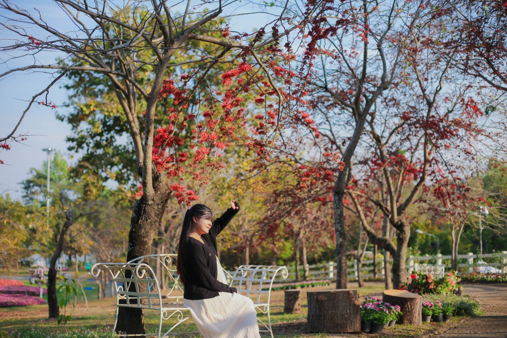 FILE-20260220-1411NQUGHG5FTBMN