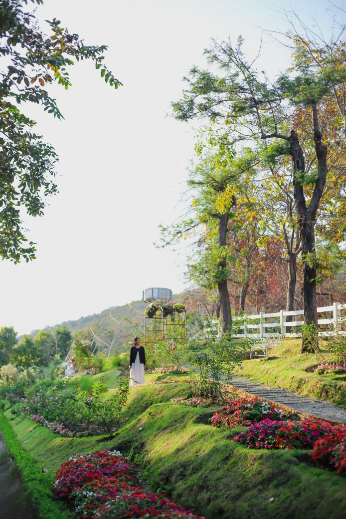 FILE-20260220-1411YX5BBUWN44A4