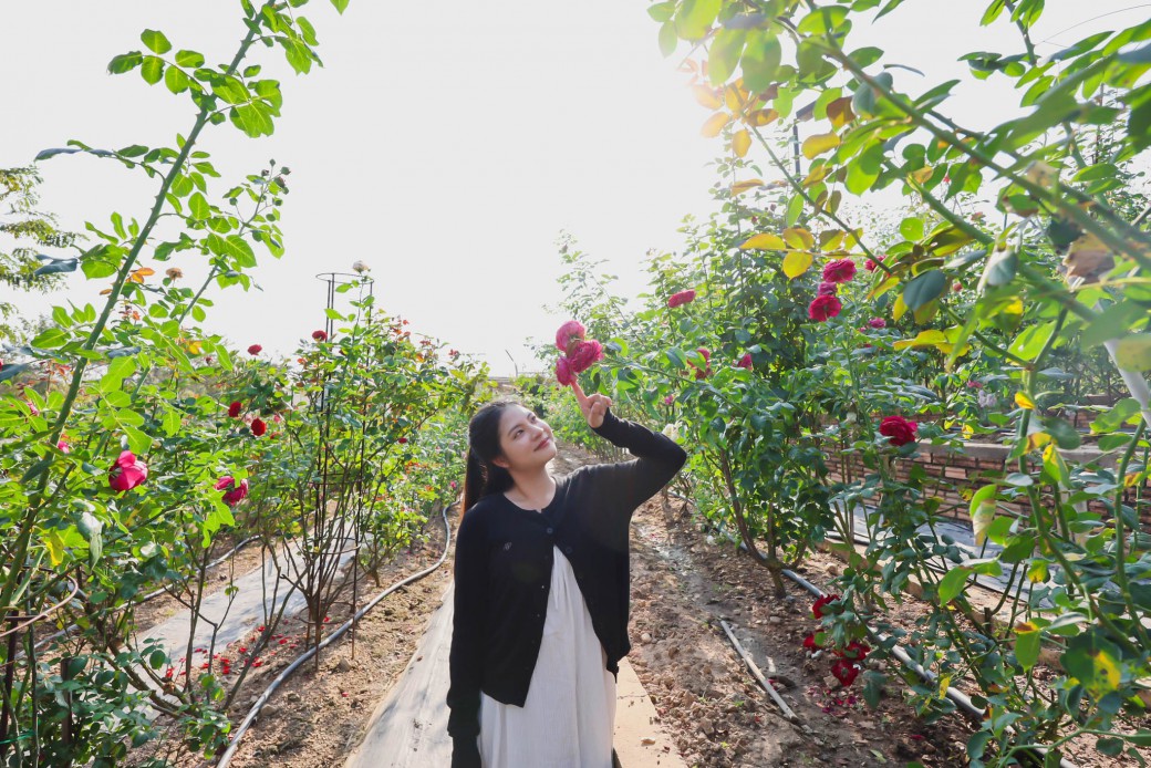 FILE-20260220-1414PBLGVWE9AJB1