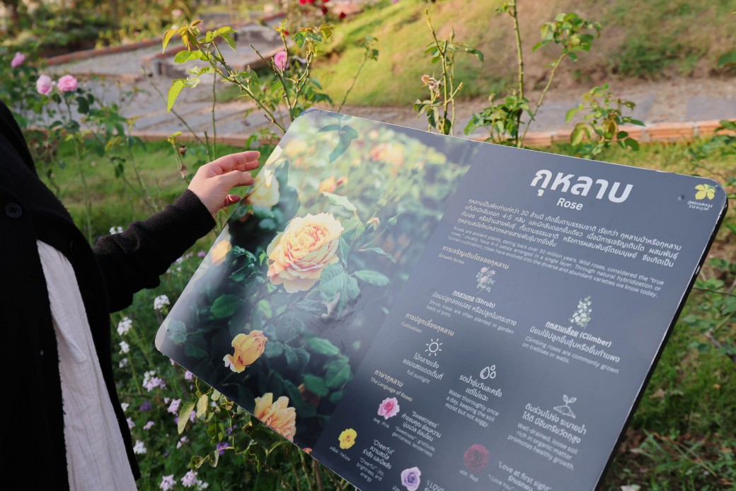 FILE-20260220-14155HEPL7S5S4NU