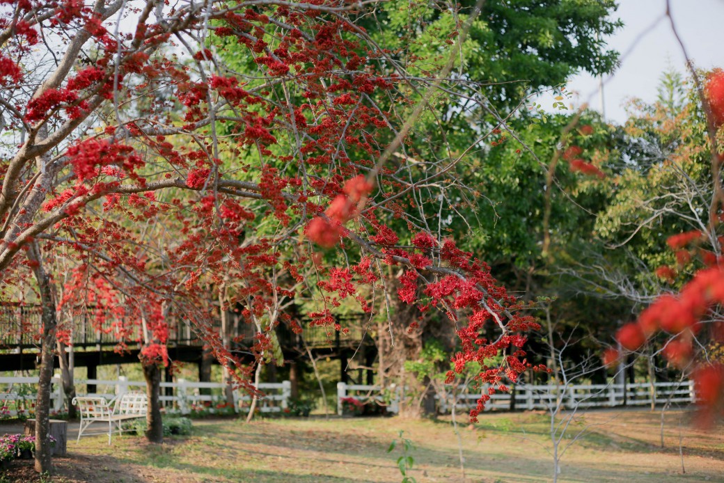 FILE-20260220-1415P1QK9KNJD2HK