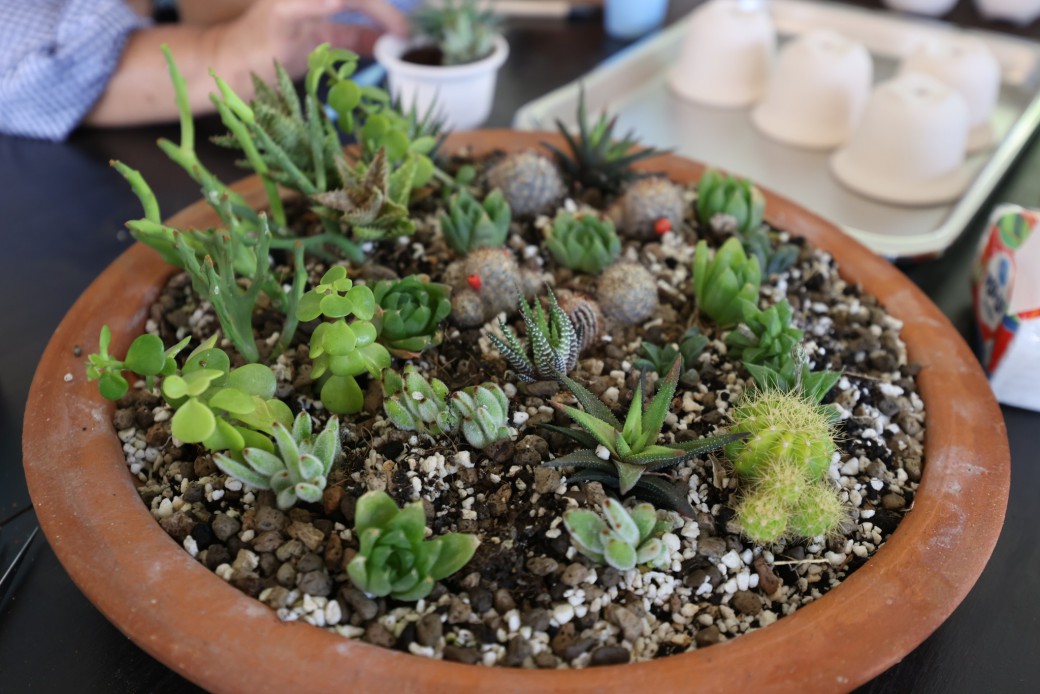 FILE-20260220-1418QRPS5RBFFHG1