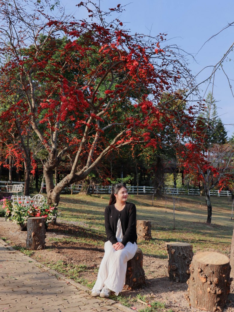 FILE-20260220-1419YTQTA6NYGPE1