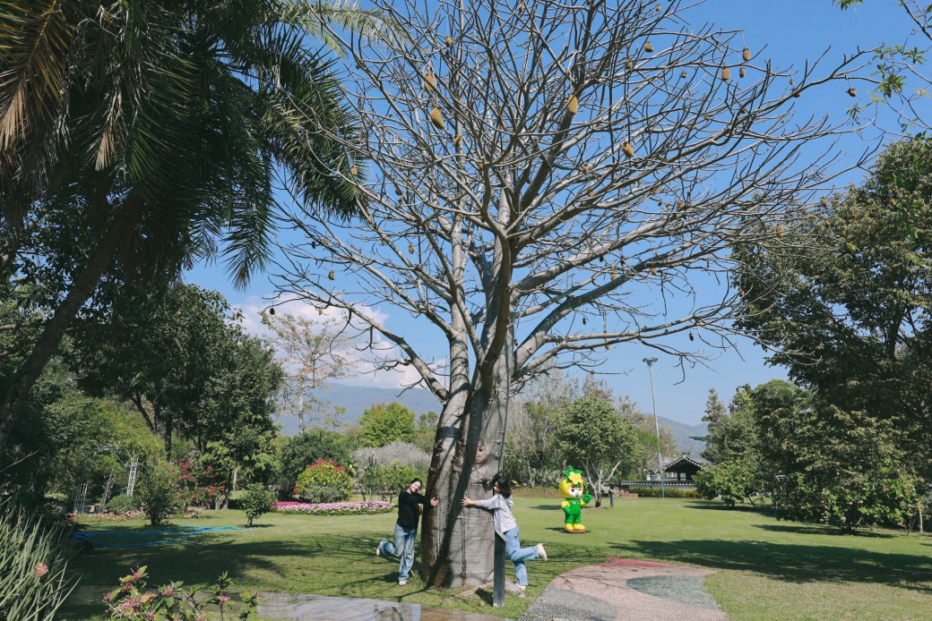 FILE-20260220-142133MLAZHY77SD