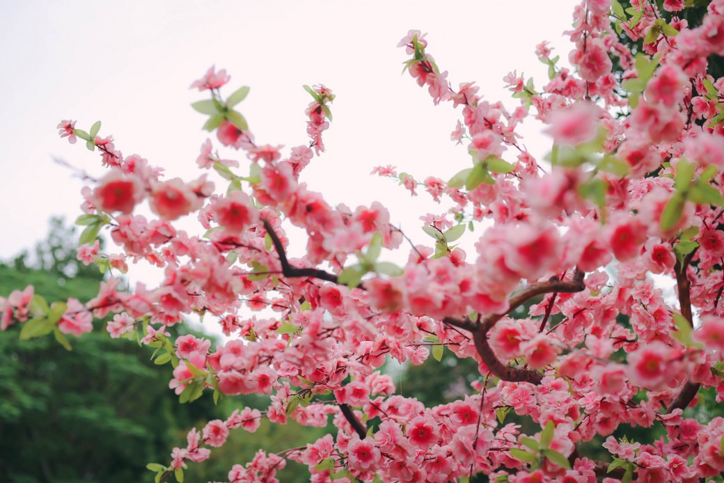 FILE-20260220-1421JNYSP7GFKJ7Y