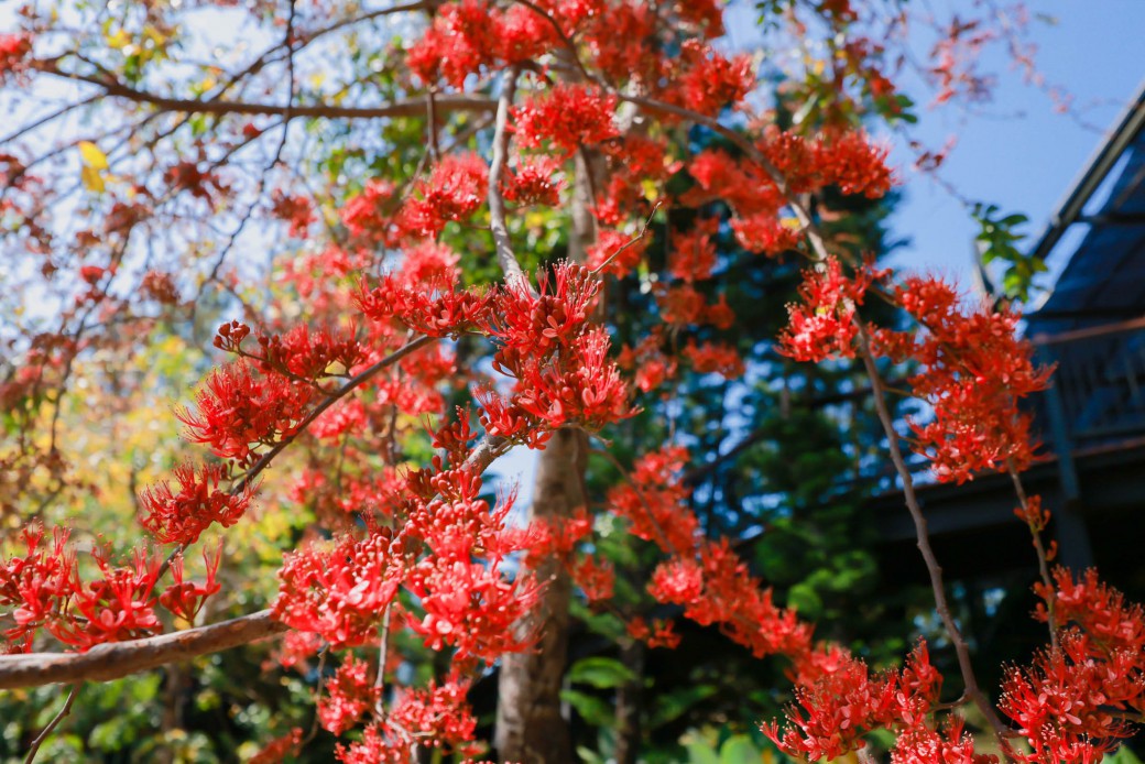 FILE-20260220-1421SRRTN4J1NDT3