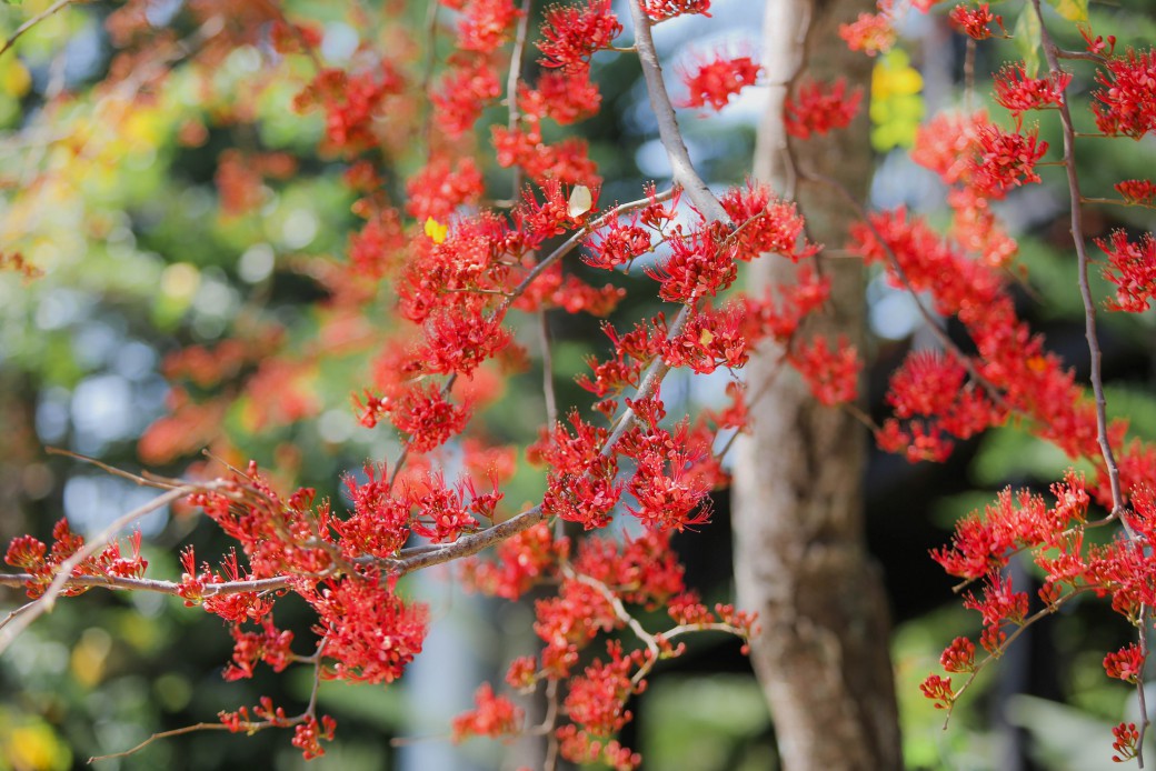 FILE-20260220-1423AHMEH38AA1SS