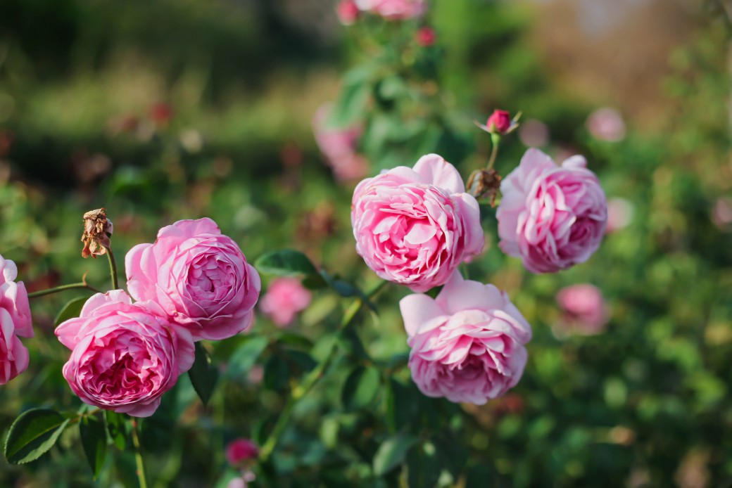 FILE-20260220-1423D5RVQ5DGVVTH