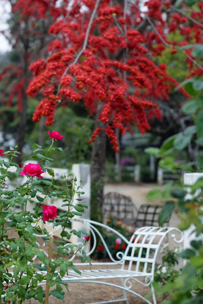 FILE-20260220-1429K2U8RXEXLQSK