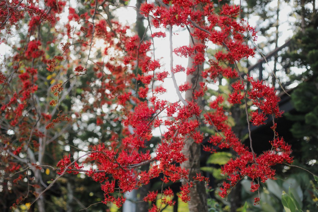 FILE-20260220-1431BBF9D82LSFYG