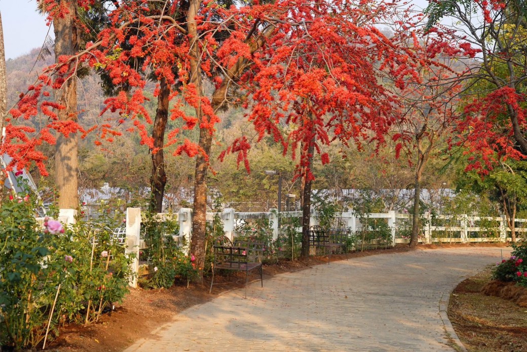 FILE-20260220-14346LJ1SKC9GECL