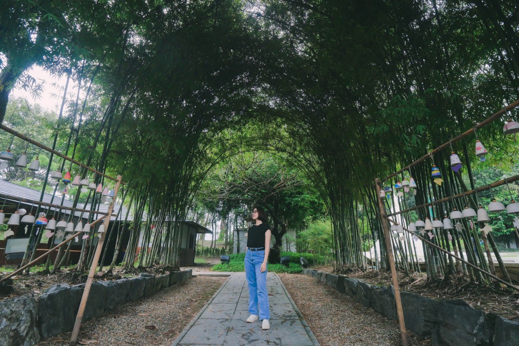 FILE-20260220-14351QK7LCEGK1TA