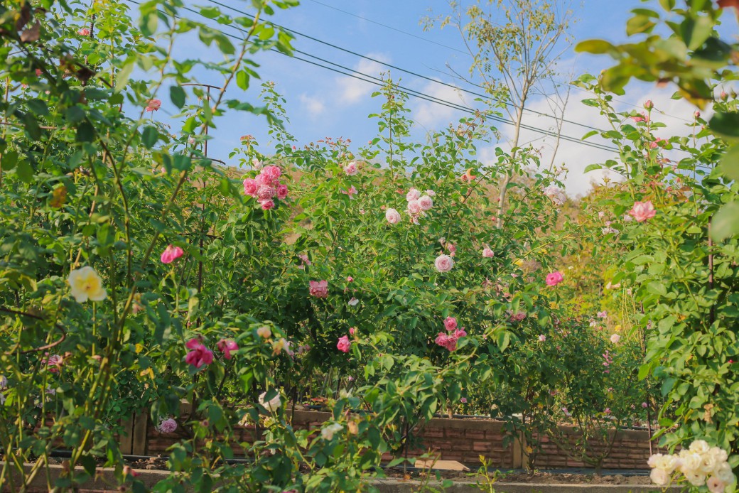 FILE-20260220-1436ZDPHAGCB4UH8