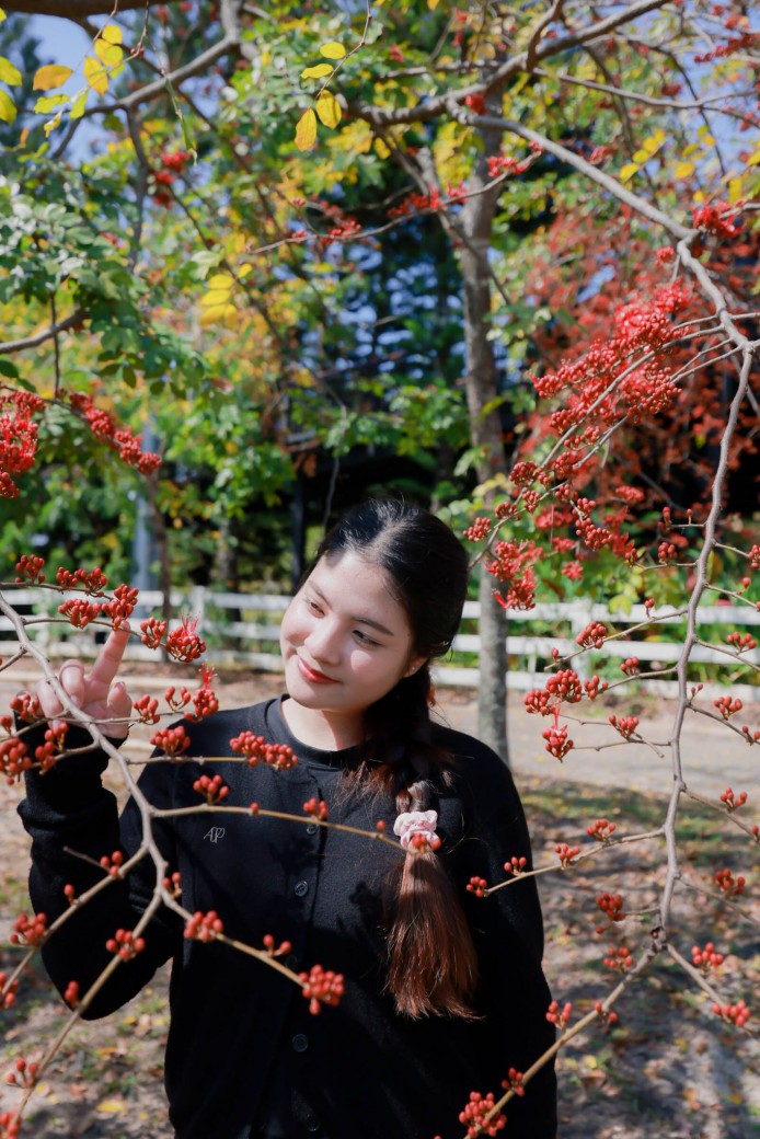 FILE-20260220-14383CCY9B8MXUXU