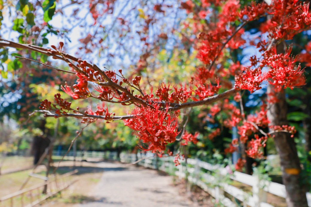 FILE-20260220-14384B5BT45N89E7