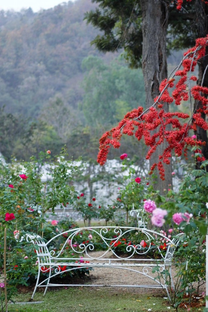 FILE-20260220-1440W1D5U55W41NN