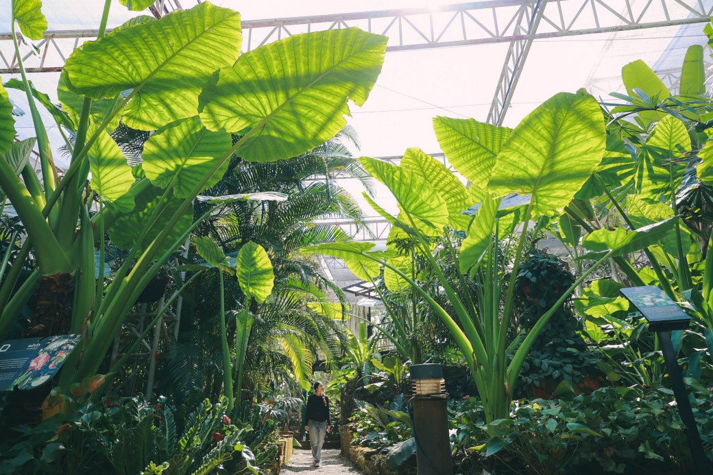 FILE-20260220-1446V5EGSAURFSWS