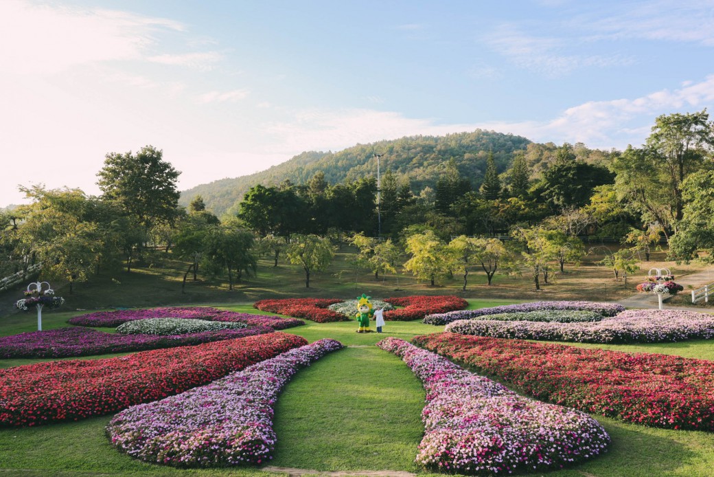 FILE-20260220-1451YW9JBE5AMBNE