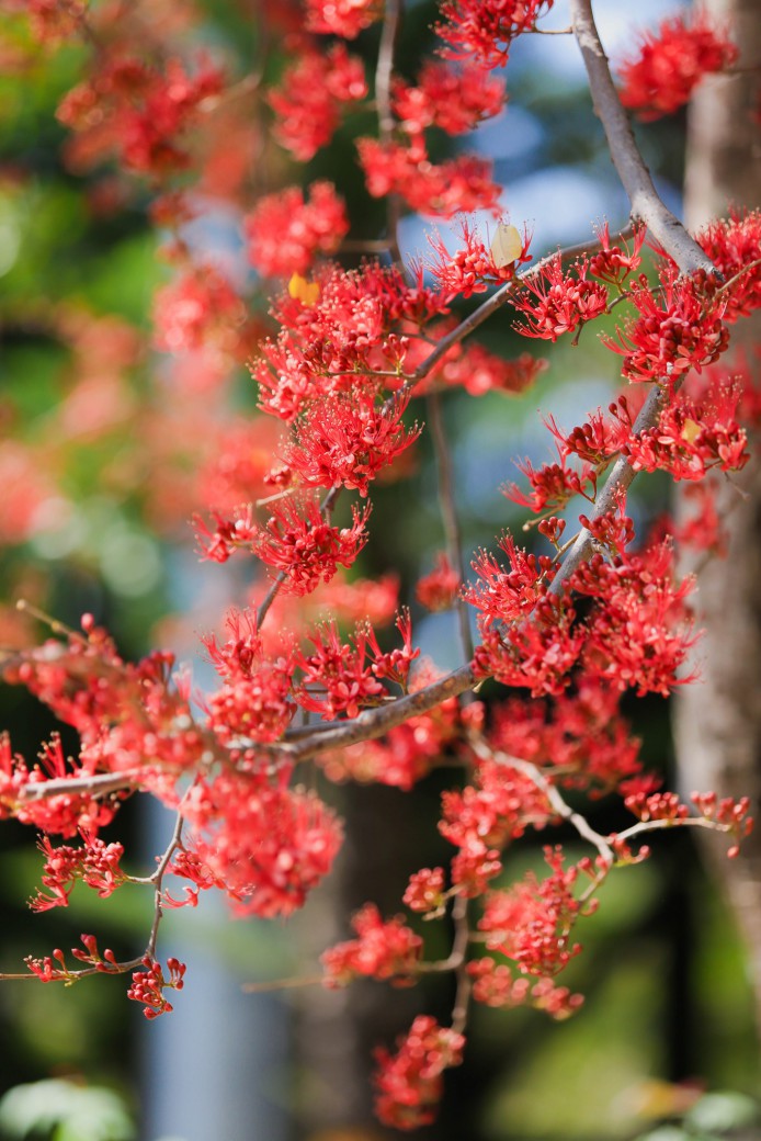 FILE-20260220-1453BV7VDU7VWZBL