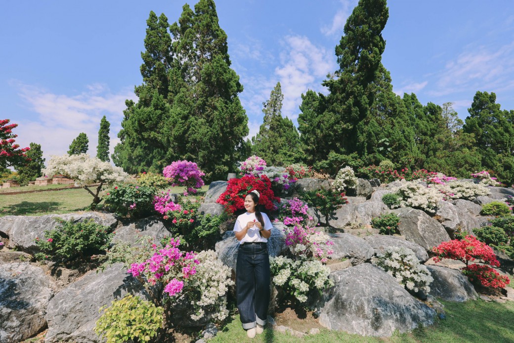 FILE-20260220-1456PX54U4DBGEHF