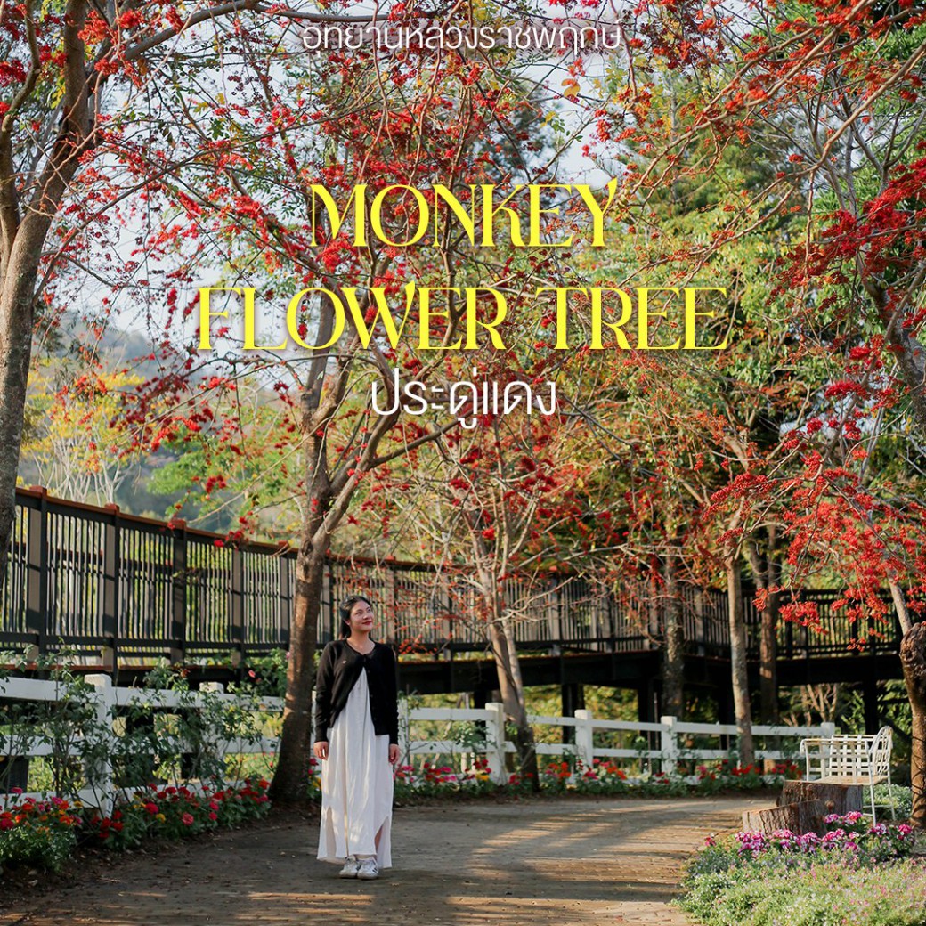 FILE-20260220-14597KUNA461LB6P