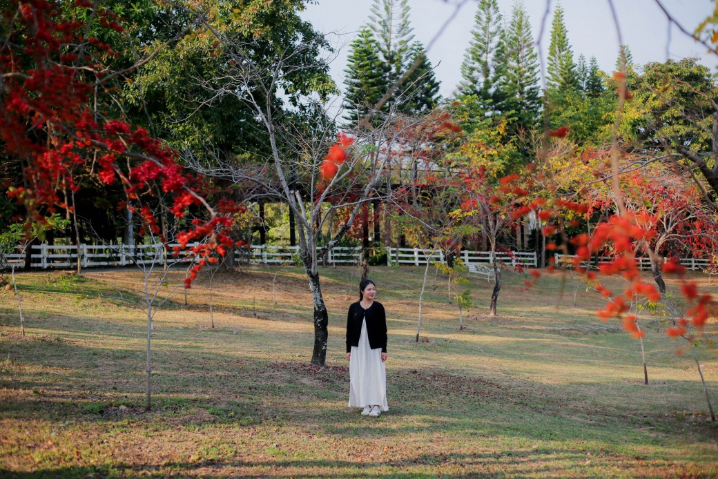 FILE-20260220-1459KS38TT8SX5YH