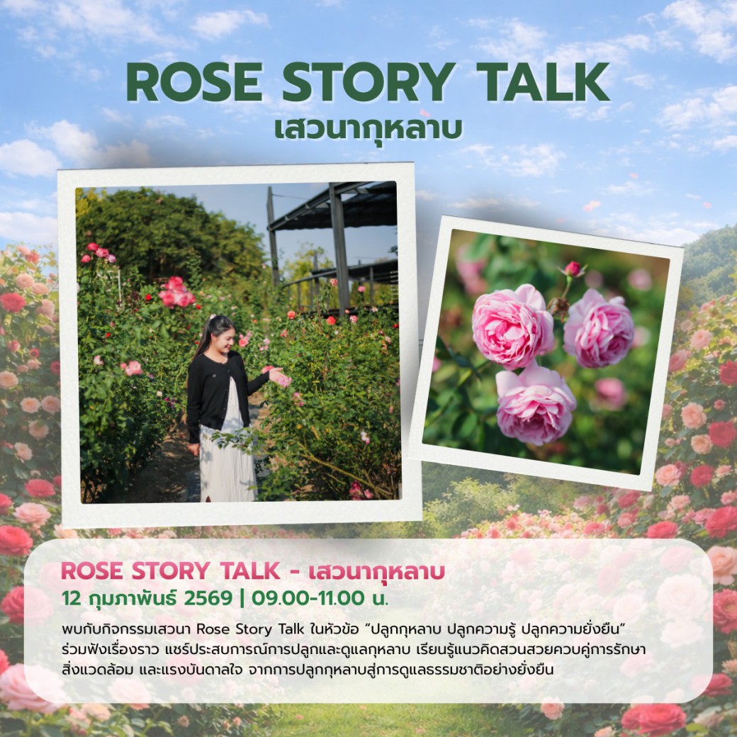 FILE-20260220-1503QFK89L4B92YY