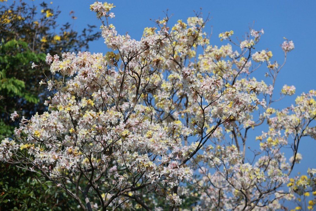 FILE-20260220-1503VNCPYZFG18PA