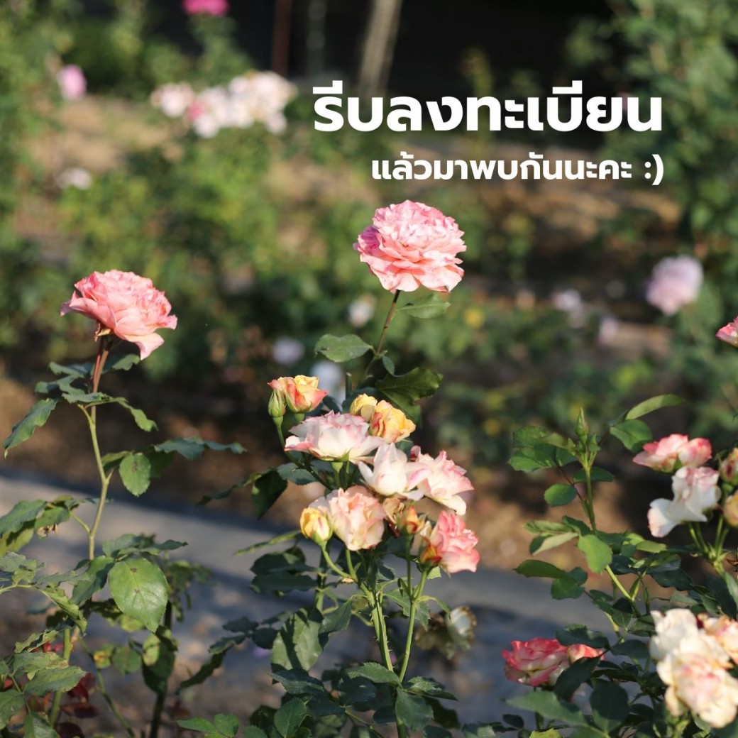 FILE-20260220-1506WLPPWA2UZNPF