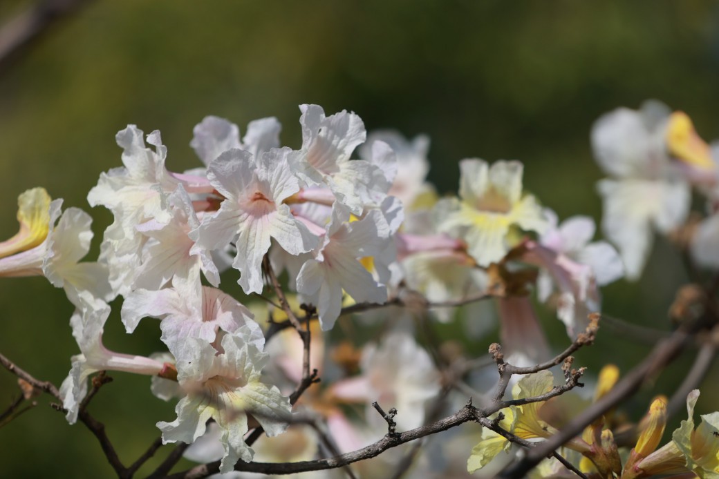 FILE-20260220-1513KHDM4RNUSHL4