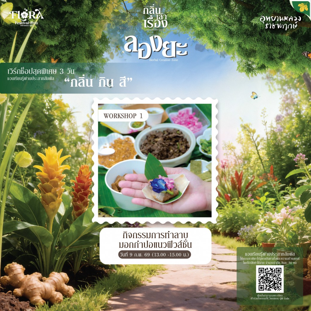 FILE-20260220-1515HMFA2K1UR86N