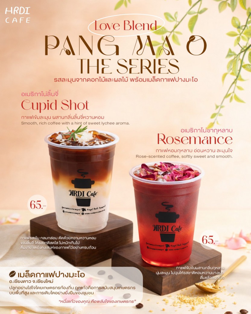 FILE-20260220-1519UEYT27FSUQ98