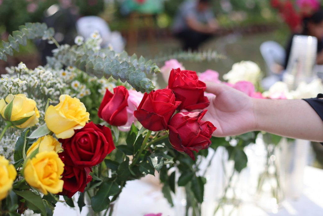 FILE-20260220-1524U4Z2P7K9FUUP