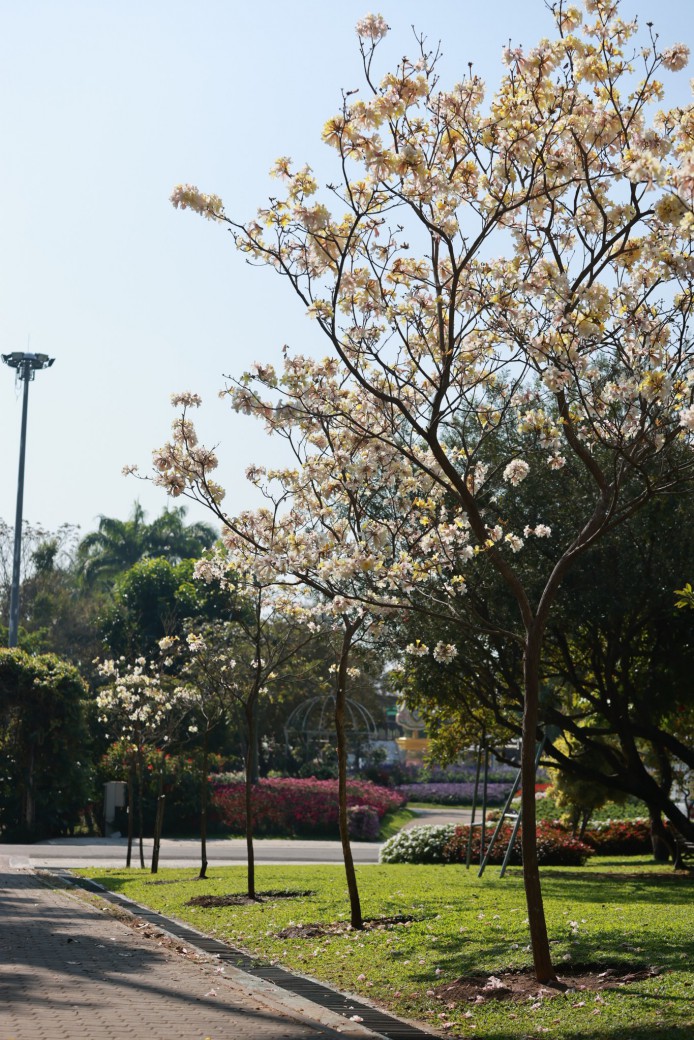 FILE-20260220-15284W4YJLL7NN9D