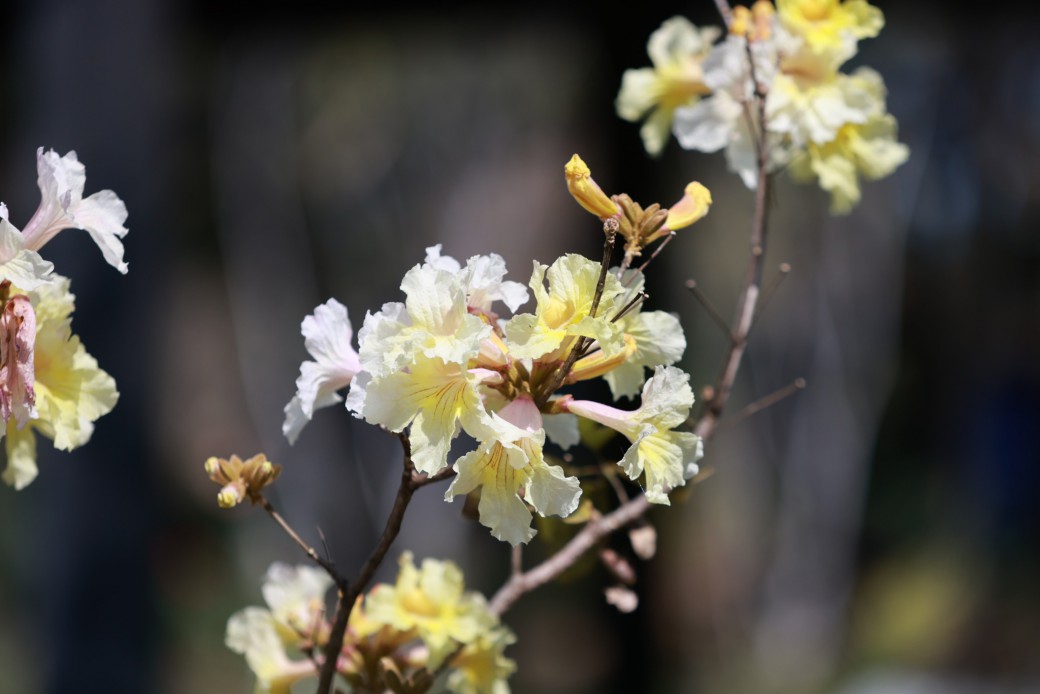 FILE-20260220-15392PTTCNGGNSBY