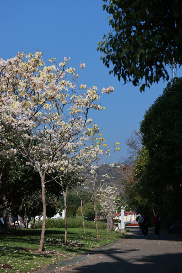 FILE-20260220-15419Z88Q7MQMX3C