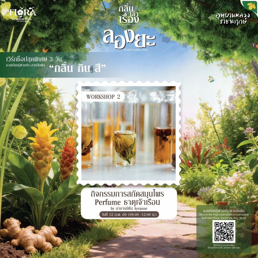 FILE-20260220-1541NYP34SF4TSCC