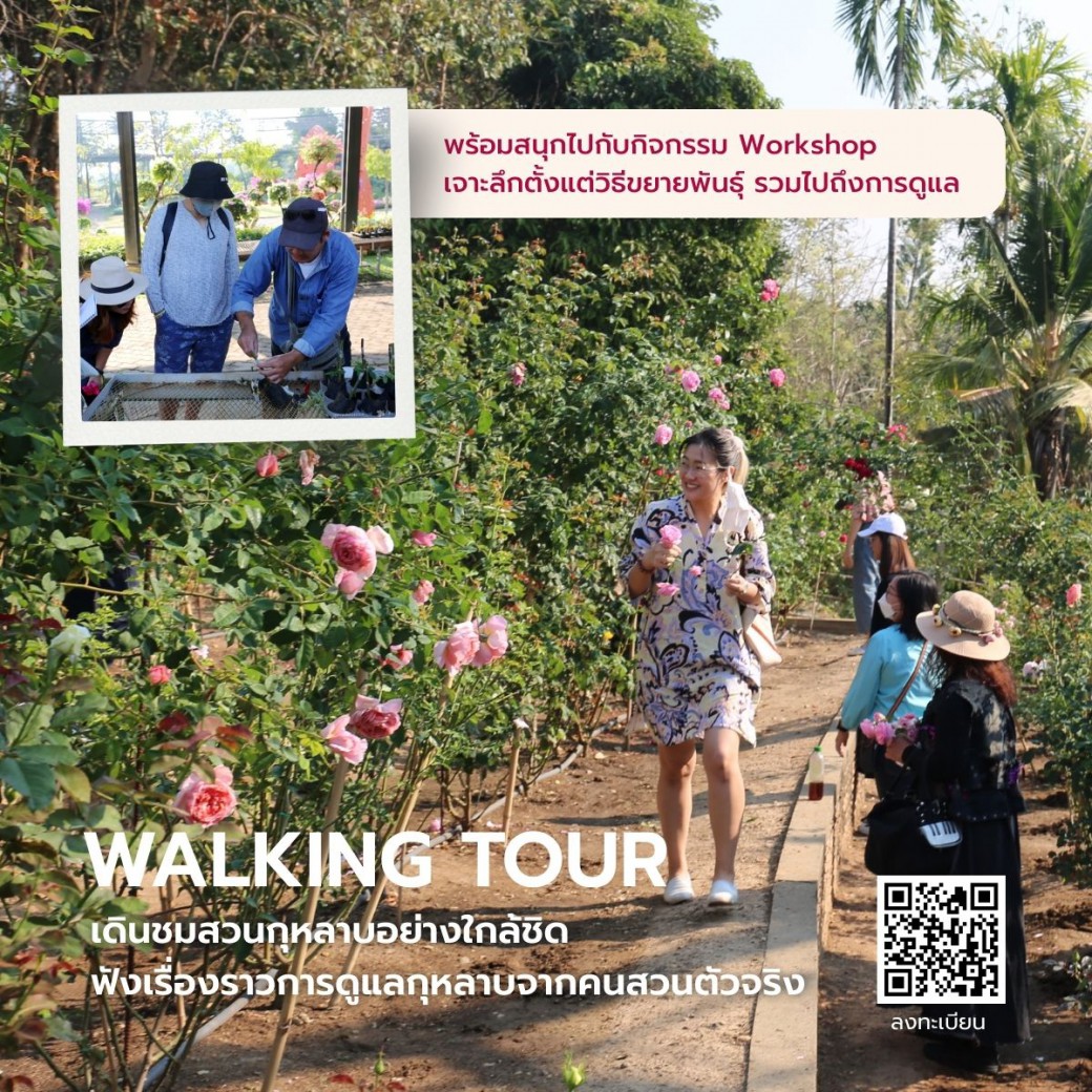 FILE-20260220-1548QZ8MVRX5QPA7