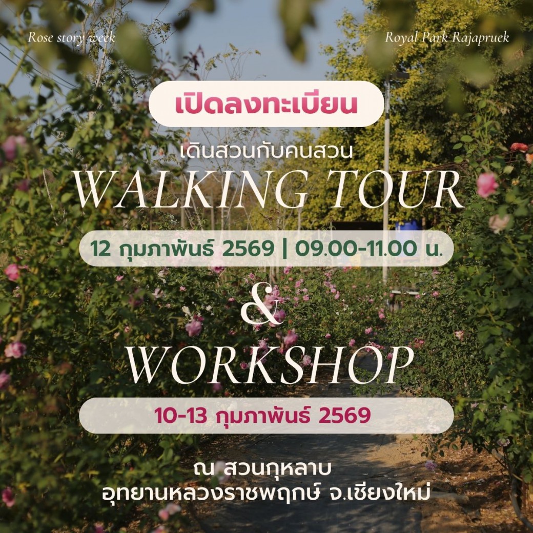 FILE-20260220-15529YNH3EF4QLXA