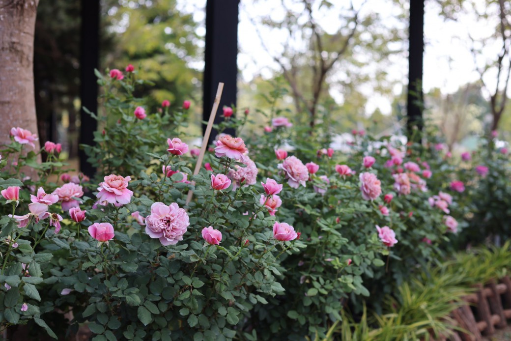 FILE-20260220-1552MUWZBT5FPX8J