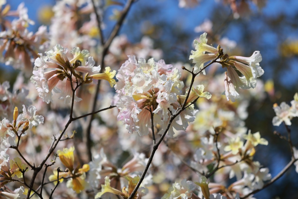 FILE-20260220-15538591UMBHK38S