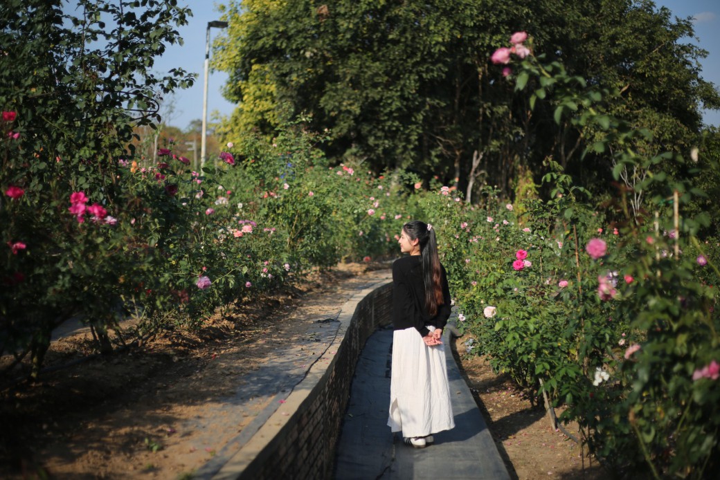 FILE-20260222-11005XZXKN5MGGQX