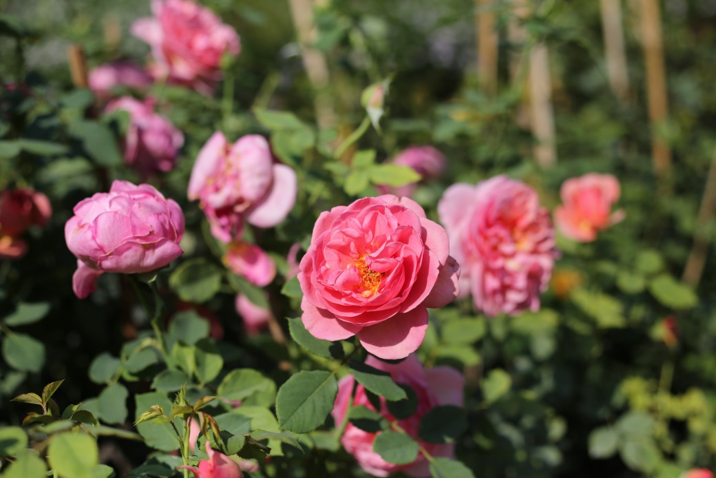 FILE-20260222-11051VWWYR7LDMZP